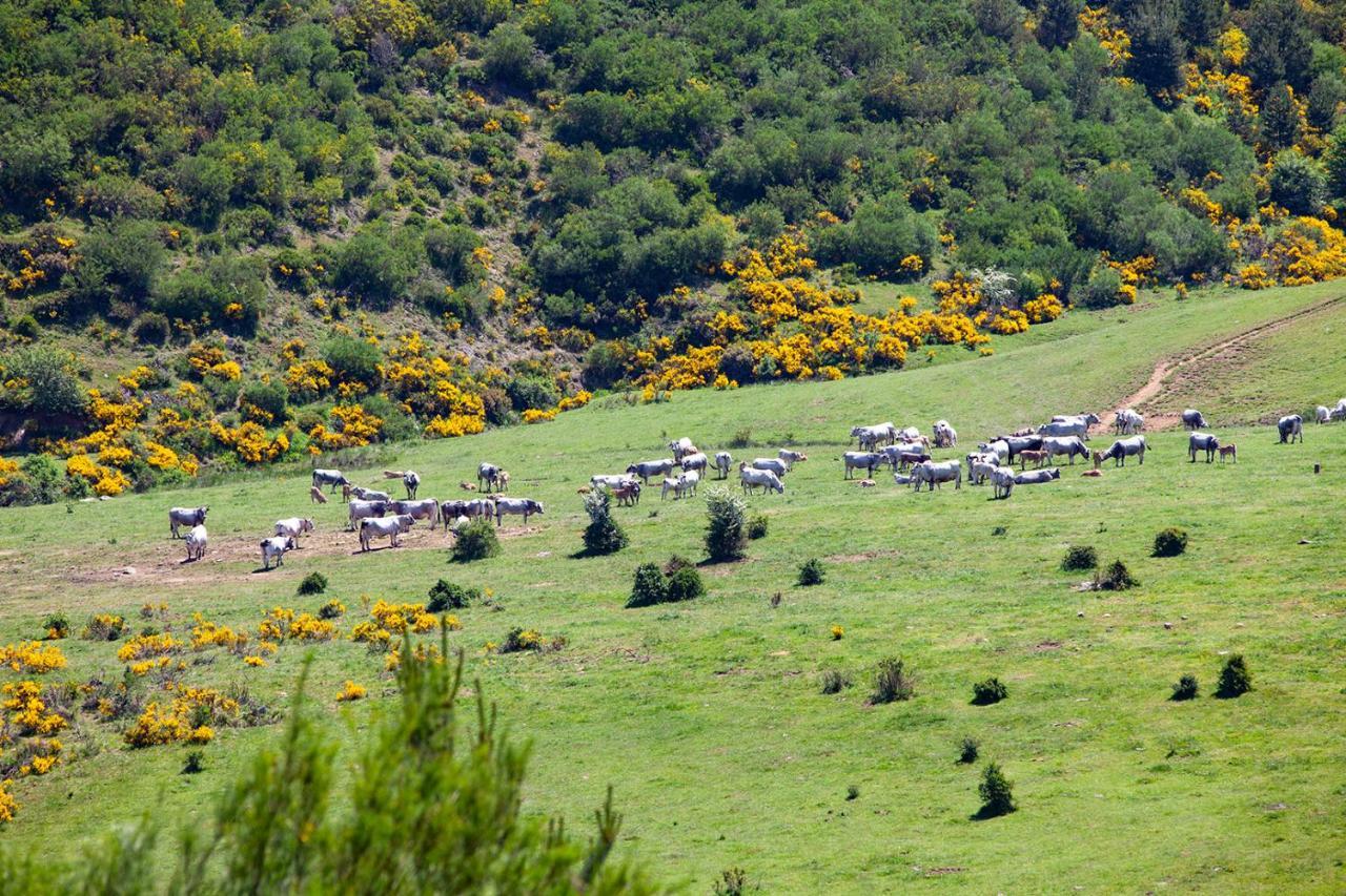 Fuentes de Peñacorada Casa Rural La Majada De Penacoradaゲストハウス エクステリア 写真